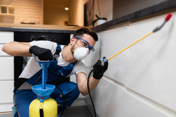 Best Bed Bug Extermination  in Lutz, FL