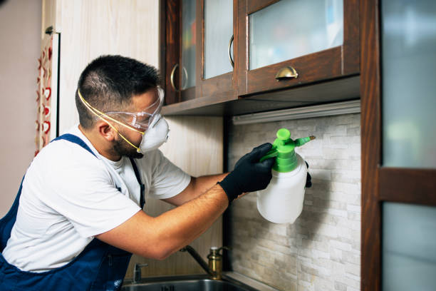 Wildlife Control Services in Lutz, FL