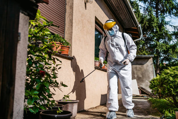 Best Spider Control Near Me  in Lutz, FL
