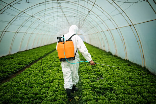 Best Pest Removal Services  in Lutz, FL