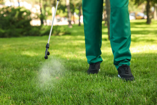 Best Mosquito Control Services  in Lutz, FL