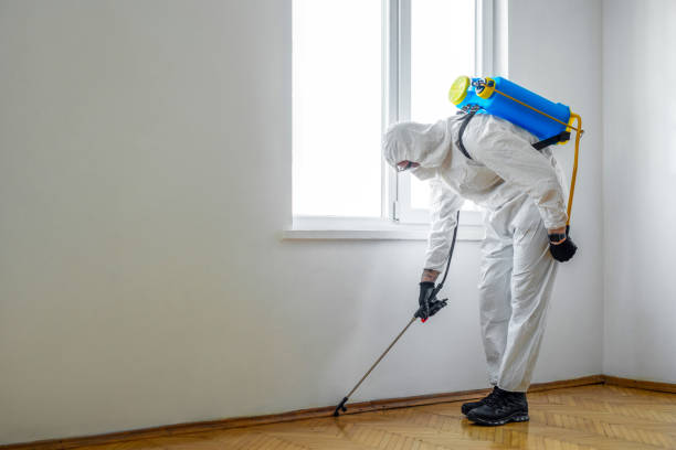 Best Residential Pest Control  in Lutz, FL