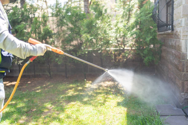Best Insect Control  in Lutz, FL