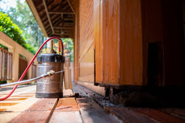 Best Cockroach Control Services  in Lutz, FL