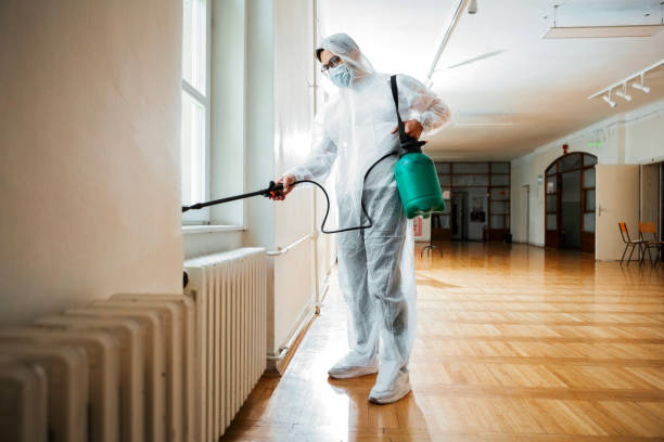 Best Pest Control Near Me in Lutz, FL
